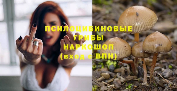 ALPHA PVP Армянск