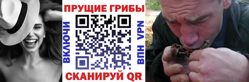 наркота  Бабушкин  гидра зеркало  Псилоцибиновые грибы Magic Shrooms 